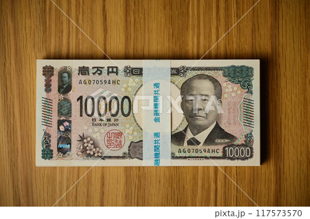 100万円 100万円 117573570