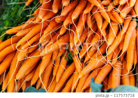 Close-up view fresh juicy clean orange local farmer's carrot bunch on street market retail counter stall on sunny day. Local domestic organic plant vegetables at store. Sustainable agriculture 117573718
