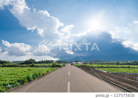 《長野県》夏空の野辺山高原・入道雲とレタス畑 《長野県》夏空の野辺山高原・入道雲とレタス畑 117573810