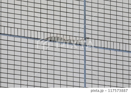 外壁タイルのひび割れ　イメージ 117573887