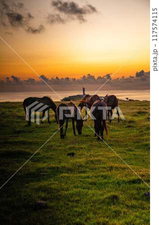 ドラマチックな朝の与那国島風景 117574115