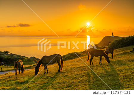 日が昇る与那国の朝風景 117574121