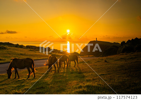 日が昇る与那国の朝風景 117574123
