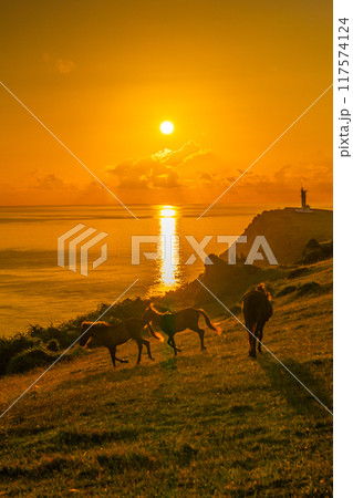 日が昇る与那国の朝風景 日が昇る与那国の朝風景 117574124