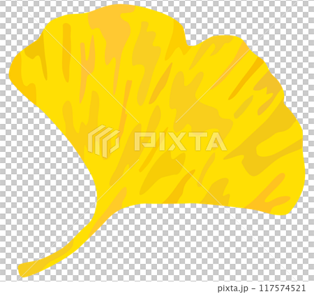 イチョウのイラスト ベクター素材 イチョウのイラスト ベクター素材 117574521