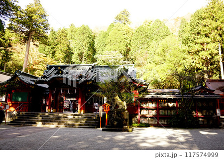 箱根神社 箱根神社 117574999