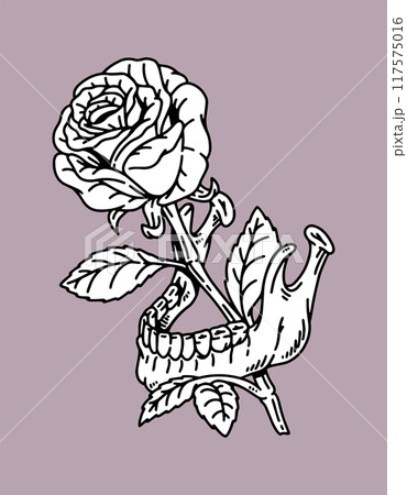fantasy illustration of skull mouth and rose, drawing, ink, line art fantasy illustration of skull mouth and rose, drawing, ink, line art 117575016