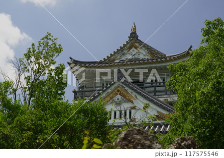 新緑に包まれた岐阜城 新緑に包まれた岐阜城 117575546