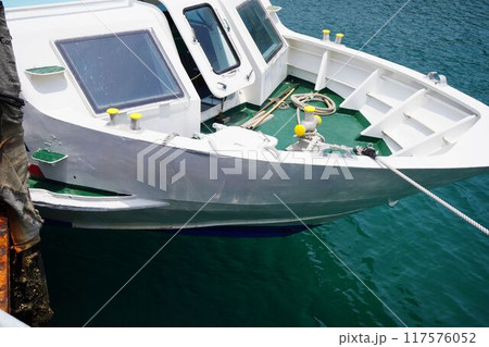 停泊中の旅客船 117576052