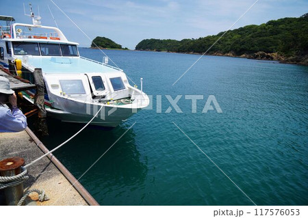 停泊中の旅客船 117576053