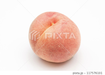 桃　楊夏妃 117576101