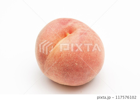 桃　楊夏妃 117576102