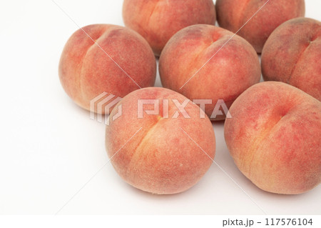 桃　楊夏妃 117576104