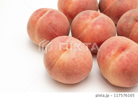 桃　楊夏妃 117576105