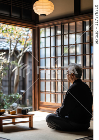 景色を眺める高齢者 117576510