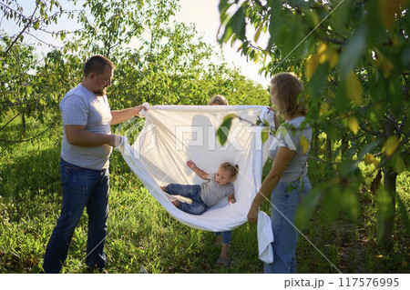 a family of four is playing with a white sheet in the garden, a toddler wants to flutter the sheet 117576995