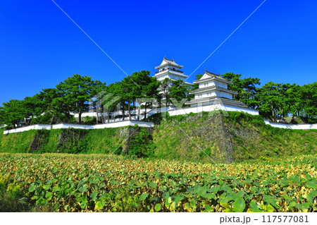 【長崎県】快晴の島原城天守閣（改修工事後） 117577081