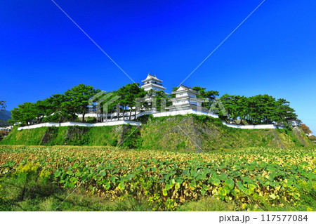 【長崎県】快晴の島原城天守閣(改修工事後) 【長崎県】快晴の島原城天守閣(改修工事後) 117577084