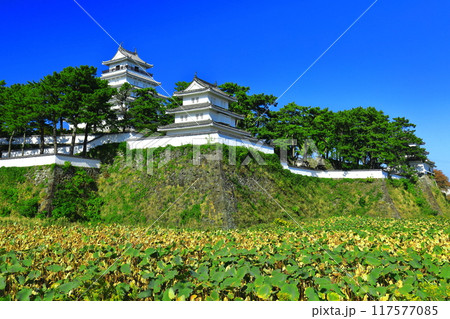 【長崎県】快晴の島原城天守閣(改修工事後) 【長崎県】快晴の島原城天守閣(改修工事後) 117577085
