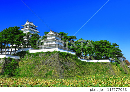 【長崎県】快晴の島原城天守閣（改修工事後） 117577088