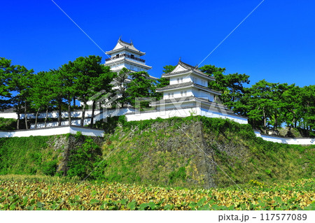 【長崎県】快晴の島原城天守閣（改修工事後） 117577089