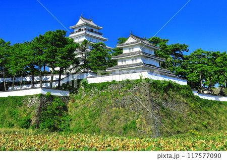【長崎県】快晴の島原城天守閣(改修工事後) 【長崎県】快晴の島原城天守閣(改修工事後) 117577090