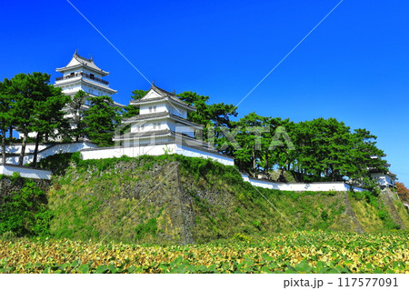 【長崎県】快晴の島原城天守閣（改修工事後） 117577091