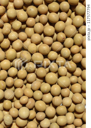 Dry soybeans 117577794