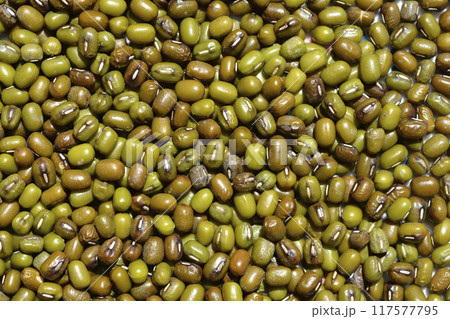 Mung beans 117577795