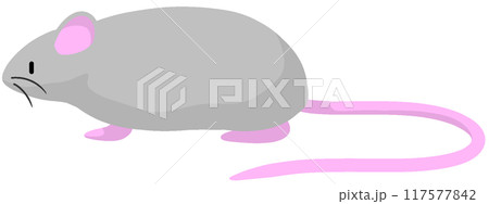 ダンボラット ダンボラット 117577842