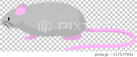 ダンボラット ダンボラット 117577842