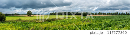 Panoramic view over agriculture fields at the German countryside around Vorwerk, Lower Saxony, Germany 117577860