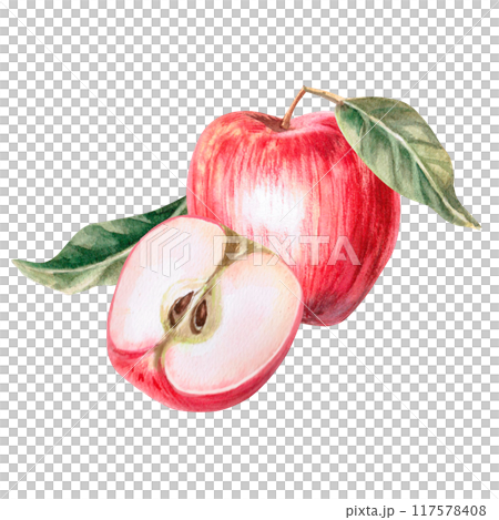 Composition of apple whole and half in isolated watercolor illustration. Fruits for organic food design, posters, fabric printing, packaging, autumn harvest illustration 117578408