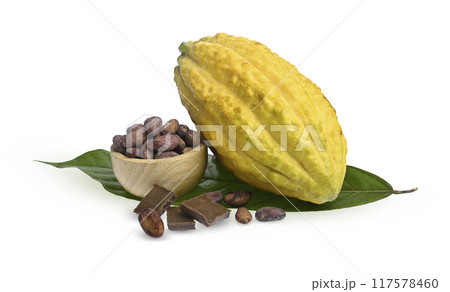 Cocoa fruit with cocoa bean and cacao on cocoa leaf. Cocoa fruit with cocoa bean and cacao on cocoa leaf. 117578460