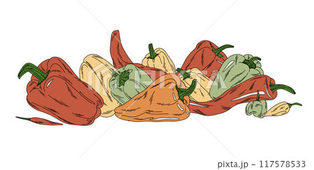 composition of bright vegetables and hot peppers in flat style isolated on white background 117578533