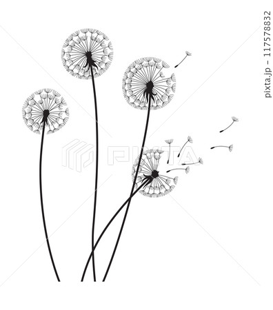 Dandelion wind blow background. Black silhouette with flying dandelion buds on white. Abstract flying blow dandelion seeds. Decorative graphics for printing. Floral scene design 117578832