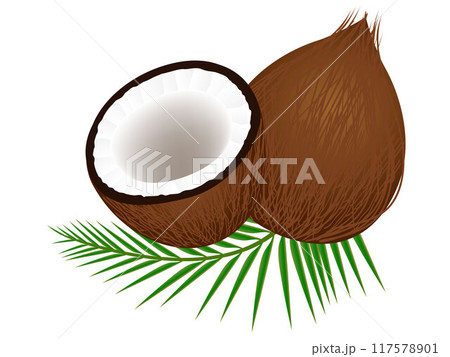 Coconut with half and leaves on white background. Coconut with half and leaves on white background. 117578901