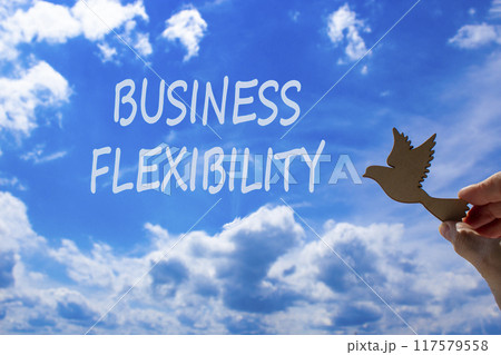 Business flexibility symbol. Concept words Business flexibility on beautiful sky. Beautiful blue sky cloud background. Businessman hand with wooden bird. Business flexibility concept. Copy space. Business flexibility symbol. Concept words Business flexibility on beautiful sky. Beautiful blue sky cloud background. Businessman hand with wooden bird. Business flexibility concept. Copy space. 117579558