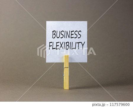 Business flexibility symbol. Concept words Business flexibility on beautiful white paper on wooden clothespin. Beautiful grey background. Business flexibility concept. Copy space. 117579600