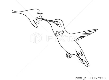 Hummingbird. One line drawing vector illustration. 117579905