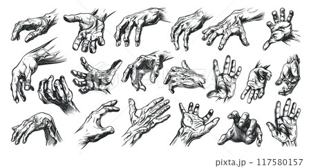 Hands sketches set. Human hand gestures vintage pencil drawing, arm graphic finger gesture palm with shadows fist monochrome vector illustration 117580157