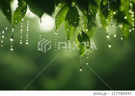 Fresh raindrops hanging delicately from green leaves 117580443