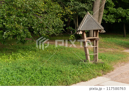 bird wildlife animal feed house care wood birdhouse park garden tree wild nature food feeder bird wildlife animal feed house care wood birdhouse park garden tree wild nature food feeder 117580763