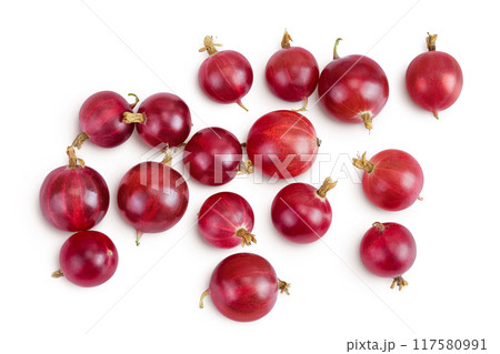 Red gooseberry isolated on white background. Top view. Flat lay. Red gooseberry isolated on white background. Top view. Flat lay. 117580991