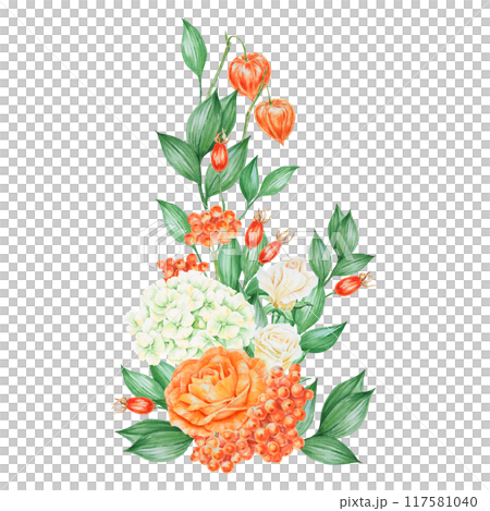 Orange and white roses, physalis, hydrangea, rowan berries and rose hips. Hand drawn watercolor isolated illustration with fall vegetables and plants for banner template for cards, prints, poster Orange and white roses, physalis, hydrangea, rowan berries and rose hips. Hand drawn watercolor isolated illustration with fall vegetables and plants for banner template for cards, prints, poster 117581040