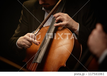 Close up on hand of unrecognizable devoted male musician strumming cello while playing with chamber quartet in dramatic light, focus on fingers and strings 117581061