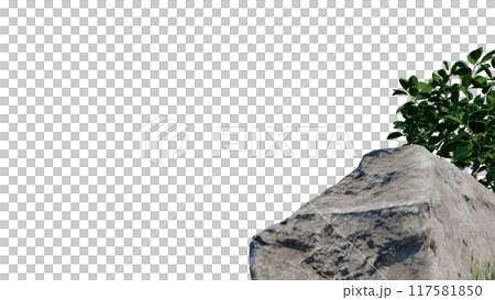 vegetation nature plant green natural environment foliage background 3d render. landscape tree jungle summer forest leaf tropical garden ecology grass. flora isolated park bush wild tropic. 117581850