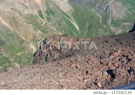 high mountainous landscape with a herd of caucasian ibex in the foreground high mountainous landscape with a herd of caucasian ibex in the foreground 117582134