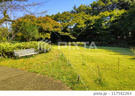 桜丘すみれば自然庭園  東京都世田谷区桜丘  小田急小田原線千歳船橋駅  区立公園都市緑地　　前身植 117582263