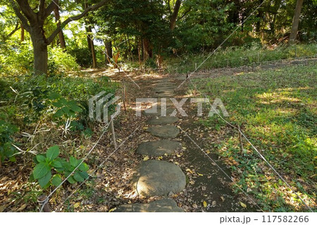 桜丘すみれば自然庭園  東京都世田谷区桜丘  小田急小田原線千歳船橋駅  区立公園都市緑地　　前身植 117582266